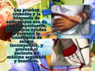 Las pruebas
cruzadas y la
búsqueda de
anticuerpos son de
suma importancia,
ya que nos ayudan
a prevenir la
transfusión de
sangre
incompatible, y
proveen al
paciente de
máxima seguridad
y beneficio.
 
