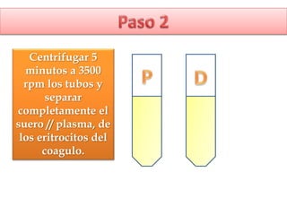 Centrifugar 5
minutos a 3500
rpm los tubos y
separar
completamente el
suero // plasma, de
los eritrocitos del
coagulo.
 