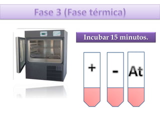 Incubar 15 minutos.
 
