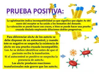 La aglutinación indica incompatibilidad ya que significa que algún Ac del
suero del receptor se ha unido a los hematíes del donante.
La valoración se puede hacer con cruces, o bien se puede hacer una prueba
cruzada titulada empleando diluciones dobles progresivas.
Para diferenciar aloAc de los autoAc se
debe disponer de un autocontrol, y cuando
éste es negativo se sospecha la existencia de
aloAc en una prueba cruzada incompatible.
Los Ac se deben identificar antes de que el
paciente reciba la transfusión.
Si el autocontrol es positivo se sospecha la
presencia de autoAc.
Los aloAc producen reacciones
transfusionales más graves que los autoAc.
 