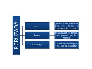 P.CRUZADA
Mayor
Prueba mayor Mezcla de
glóbulos rojos del donador
con suero del receptor
Menor
Mezcla suero del donador
con glóbulos rojos del
receptor
Autotestigo
Eritrocitos del receptor
más suero del receptor
 