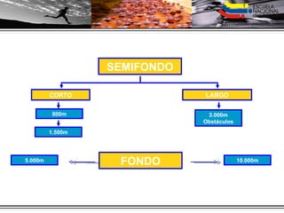 SEMIFONDO CORTO LARGO 800m 1.500m 3.000m Obstáculos FONDO 10.000m 5.000m 