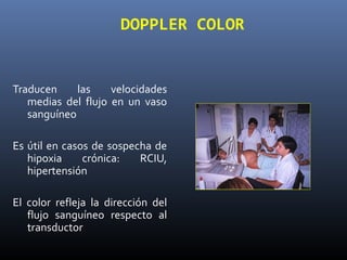 DOPPLER COLOR
Traducen las velocidades
medias del flujo en un vaso
sanguíneo
Es útil en casos de sospecha de
hipoxia crónica: RCIU,
hipertensión
El color refleja la dirección del
flujo sanguíneo respecto al
transductor
 