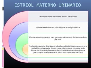 ESTRIOL MATERNO URINARIO
 