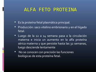 ALFA FETO PROTEINA
 Es la proteína fetal plasmática principal.
 Producción: saco vitelino embrionario y en el hígado
fetal.
 Luego de la 12 a 14 semana pasa a la circulación
materna e inicia un aumento en la alfa proteína
sérica materna y que persiste hasta las 32 semanas,
luego desciende lentamente
 No se conocen con precisión las funciones
biológicas de esta proteína fetal.
 