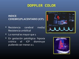 DOPPLER COLOR
INDICE
CEREBRO/PLACENTARIO (ICP):
 Resistencia cerebral media/
Resistencia umbilical
 Lo normal es mayor que 1
 En gestación patológica: hipoxia
crónica el ICP disminuye
pudiendo ser menor a 1
 