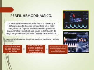 A traves de la estimulacion de quimiorreceptores carotideos y aorticos
se produce:
PERFIL HEMODINAMICO.
La respuesta homeostática del feto a la hipoxia y la
asfixia se puede detectar por cambios en el riego
sanguíneo de órganos vitales (corazón, glándulas
suprarrenales y cerebro) que causa redistribución de
riego sanguíneo con patrones Doppler característicos.
Vasodilatacion
de las arterias
carotidas
Vasodilatacion
de las arterias
coronarias y
suprarrenales
Vasoconstriccion a nivel
de aorta descendente y
territorio
musculoesqueletico
 