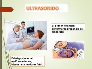 El primer examen:
confirmar la presencia del
embarazo
Edad gestacional,
malformaciones,
bienestar y madurez fetal.
 