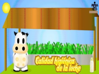 Pruebas de control de calidad de la leche