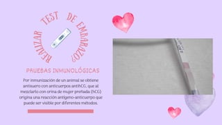 r
e
a
l
i
z
a
r
test de
e
m
b
a
r
a
z
o
?
PRUEBAS INMUNOLÓGICAS
Por inmunización de un animal se obtiene
antisuero con anticuerpos antihCG, que al
mezclarlo con orina de mujer preñada (hCG)
origina una reacción antígeno-anticuerpo que
puede ser visible por diferentes métodos.
 