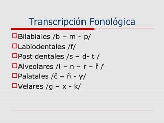 Transcripción Fonológica
Bilabiales /b – m - p/
Labiodentales /f/
Post dentales /s – d- t /
Alveolares /l – n – r – ř /
Palatales /ĉ – ñ - y/
Velares /g – x - k/
 