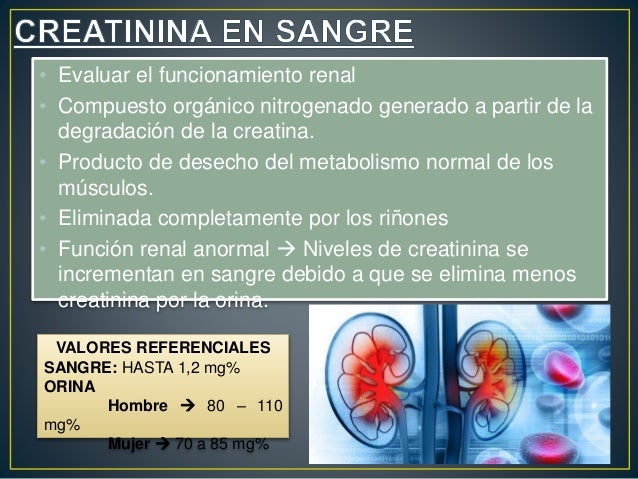 PRUEBAS DE FUNCIÓN RENAL/CASO CLÍNICO INSUFICIENCIA RENAL PRUEBAS DE FUNCIÓN RENAL/CASO CLÍNICO INSUFICIENCIA RENAL