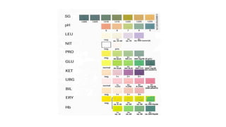 Comprehensive Guide to Renal Function Tests and Interpretation | PDF