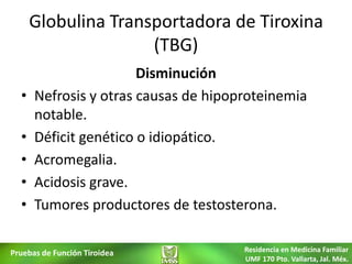 Globulina Transportadora de Tiroxina
                     (TBG)
                       Disminución
  •   Nefrosis y otras causas de hipoproteinemia
      notable.
  •   Déficit genético o idiopático.
  •   Acromegalia.
  •   Acidosis grave.
  •   Tumores productores de testosterona.

Pruebas de Función Tiroidea           Residencia en Medicina Familiar
                                      UMF 170 Pto. Vallarta, Jal. Méx.
 