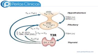T3R
www.perlasclinicas.com
 