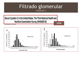Filtrado glomerular
Cistatina C
2008
 