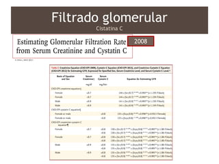Filtrado glomerular
Cistatina C
2008
 