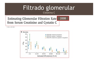 Filtrado glomerular
Cistatina C
2008
 