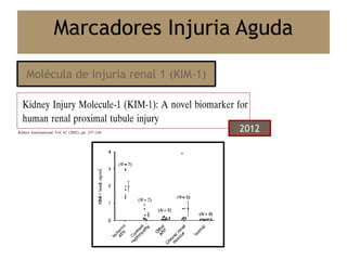Marcadores Injuria Aguda
Molécula de injuria renal 1 (KIM-1)
2012
 