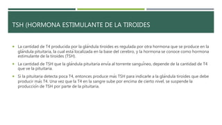 TSH (HORMONA ESTIMULANTE DE LA TIROIDES
 La cantidad de T4 producida por la glándula tiroides es regulada por otra hormona que se produce en la
glándula pituitaria, la cual está localizada en la base del cerebro, y la hormona se conoce como hormona
estimulante de la tiroides (TSH).
 La cantidad de TSH que la glándula pituitaria envía al torrente sanguíneo, depende de la cantidad de T4
que ve la pituitaria.
 Si la pituitaria detecta poca T4, entonces produce más TSH para indicarle a la glándula tiroides que debe
producir más T4. Una vez que la T4 en la sangre sube por encima de cierto nivel, se suspende la
producción de TSH por parte de la pituitaria.
 