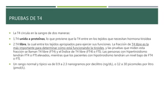 PRUEBAS DE T4
 La T4 circula en la sangre de dos maneras:
 1.T4 unida a proteínas, lo que previene que la T4 entre en los tejidos que necesitan hormona tiroidea
 2.T4 libre, la cual entra los tejidos apropiados para ejercer sus funciones. La fracción de T4 libre es la
más importante para determinar cómo está funcionando la tiroides, y las pruebas que miden esta
fracción se llaman T4 libre (FT4) y el Índice de T4 libre (FT4I o FTI). Las personas con hipertiroidismo
tendrán FT4 o FTI elevados, mientras que los pacientes con hipotiroidismo tendrán un nivel bajo de FT4
o FTI.
 Un rango normal y típico va de 0.9 a 2.3 nanogramos por decilitro (ng/dL), o 12 a 30 picomoles por litro
(pmol/L).
 
