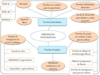 WAIS-R             Wechsler            Pruebas no verbales         Pruebas individuales
                                        para incapacitados              ilustradas
WISC-III
                                                                   Escala de desarrollo
                                                                   para infantes y niños
WPPSI-R                Stanford
                                                                         pequeños
                        -Binet         Pruebas Individuales



                                      PRUEBAS DE                  Pruebas de grupo
      Grupos de                      INTELIGENCIA                 no verbales y justa
    inteligencia de                                                 para la cultura
   niveles múltiples

                                        Pruebas Grupales
           Prueba de Otis                                      Prueba de dibujo de
                                                               Goodenough-Harrys

      Habilidades Cognoscitivas
                                                               Matrices progresivas
                                            Habilidades
                                                                    de Raven
                                          académicas y de
       Capacidades cognoscititivas           admisión         Pruebas de inteligencia
                                                               justa para la cultura
 
