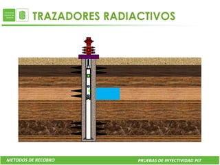 TRAZADORES RADIACTIVOS




METODOS DE RECOBRO       PRUEBAS DE INYECTIVIDAD PLT
 