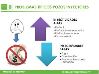 PROBLEMAS TÍPICOS POZOS INYECTORES


                          INYECTIVIDADES
                          ALTAS
                          • Daño, S.
                          • Perforaciones taponadas
                          • Restricciones tubería
                          • Escamamiento



                               INYECTIVIDADES
                               BAJAS
                               • Fugas
                               • Canalización
                               • Fracturamiento de la
                                 Formación



METODOS DE RECOBRO               PRUEBAS DE INYECTIVIDAD PLT
 