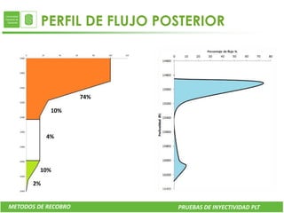 PERFIL DE FLUJO POSTERIOR




                     74%

             10%



            4%




         10%

       2%


METODOS DE RECOBRO            PRUEBAS DE INYECTIVIDAD PLT
 