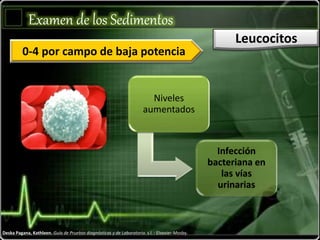 Examen de los Sedimentos
Leucocitos
Deska Pagana, Kathleen. Guía de Pruebas diagnósticas y de Laboratorio. s.l. : Elsevier-Mosby.
0-4 por campo de baja potencia
Niveles
aumentados
Infección
bacteriana en
las vías
urinarias
 