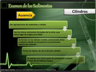 Examen de los Sedimentos
Cilindros
Deska Pagana, Kathleen. Guía de Pruebas diagnósticas y de Laboratorio. s.l. : Elsevier-Mosby.
Ausencia
Son agrupaciones de materiales o células
Son los únicos elementos formados de la orina cuyo
único lugar de origen es el riñón
Se forman en los túbulos renales contorneado distal
y colector, donde se encuentra la concentración
máxima de material
Forma de túbulo, de ahí el término cilindro
Se asocian con cierto grado de proteinuria y estasis
dentro de los túbulos renales
 