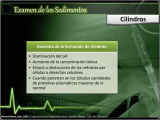 Examen de los Sedimentos
Cilindros
Bernard Herny, John. 2005. El Laboratorio en el Diagnóstico Clínico. Madrid : Marbán, 2005. 84-7101-463-7.
Aumento de la formación de cilindros:
• Disminución del pH
• Aumento de la concentración iónica
• Estasis u obstrucción de las nefronas por
células o desechos celulares
• Cuando penetran en los túbulos cantidades
de proteínas plasmáticas mayores de lo
normal
 