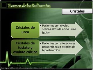 Examen de los Sedimentos
Cristales
Deska Pagana, Kathleen. Guía de Pruebas diagnósticas y de Laboratorio. s.l. : Elsevier-Mosby.
• Pacientes con niveles
séricos altos de ácido úrico
(gota).
Cristales de
urea
• Pacientes con alteraciones
paratiroideas o estados de
hipoabsorción.
Cristales de
fosfato y
oxalato cálcico
 