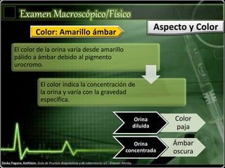 Deska Pagana, Kathleen. Guía de Pruebas diagnósticas y de Laboratorio. s.l. : Elsevier-Mosby.
El color de la orina varía desde amarillo
pálido a ámbar debido al pigmento
urocromo.
El color indica la concentración de
la orina y varía con la gravedad
específica.
Orina
diluida
Color
paja
Orina
concentrada
Ámbar
oscura
Examen Macroscópico/Físico
Aspecto y ColorColor: Amarillo ámbar
 