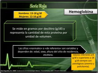 Serie Roja
Ruiz Arguelles, G.J. 2009. Fundamentos de Hematología. México : Panamericana, 2009. 978-607-7743-04-0.
Se mide en gramos por decilitro (g/dl) y
representa la cantidad de esta proteína por
unidad de volumen.
Las cifras «normales» o «de referenia» son variables y
dependen de: edad, sexo, altura del sitio de residencia,
etcétera.
Hemoglobina
Valores inferiores a 8
g/dl o superiores a 18
g/dl siempre son
patológicos (anemia y
policitemia).
Hombres: 13-18 g/dl
Mujeres: 12-16 g/dl
 
