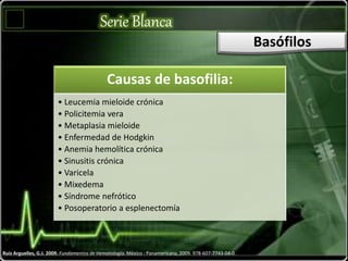 Serie Blanca
Basófilos
Ruiz Arguelles, G.J. 2009. Fundamentos de Hematología. México : Panamericana, 2009. 978-607-7743-04-0.
Causas de basofilia:
• Leucemia mieloide crónica
• Policitemia vera
• Metaplasia mieloide
• Enfermedad de Hodgkin
• Anemia hemolítica crónica
• Sinusitis crónica
• Varicela
• Mixedema
• Síndrome nefrótico
• Posoperatorio a esplenectomía
 