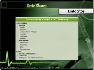 Serie Blanca
Linfocitos
Ruiz Arguelles, G.J. 2009. Fundamentos de Hematología. México : Panamericana, 2009. 978-607-7743-04-0.
Causas de linfocitosis (>5 x 109/L linfocitos)
• INFECCIOSAS
• Por virus
• Varicela
• Tos ferina
• Mononucleosis infecciosa
• Hepatitis
• Parotiditis
• Rubeola
• Otros agentes
• Tuberculosis
• Brucelosis
• Sífilis
• Toxoplasmosis
• OTRAS
• Leucemia linfática crónica
• Tirotoxicosis
• Neutropenia con linfocitosis relativa
 