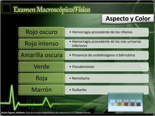 Deska Pagana, Kathleen. Guía de Pruebas diagnósticas y de Laboratorio. s.l. : Elsevier-Mosby.
• Hemorragia procedente de los riñonesRojo oscuro
• Hemorragia procedente de las vías urinarias
inferioresRojo intenso
• Presencia de urobilinógeno o bilirrubinaAmarilla oscura
• PseudomonasVerde
• RemolachaRoja
• RuibarboMarrón
Examen Macroscópico/Físico
Aspecto y Color
 