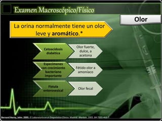 La orina normalmente tiene un olor
leve y aromático.*
Bernard Herny, John. 2005. El Laboratorio en el Diagnóstico Clínico. Madrid : Marbán, 2005. 84-7101-463-7.
Cetoacidosis
diabética
Olor fuerte,
dulce, a
acetona
Especímenes
con crecimiento
bacteriano
importante
Fétido olor a
amoníaco
Fístula
enterovesical
Olor fecal
Examen Macroscópico/Físico
Olor
 