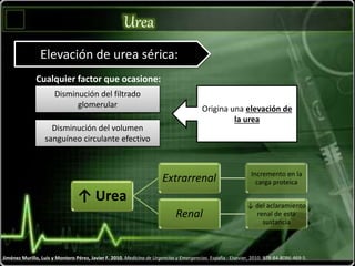Urea
Jiménez Murillo, Luis y Montero Pérez, Javier F. 2010. Medicina de Urgencias y Emergencias. España : Elsevier, 2010. 978-84-8086-469-5.
Elevación de urea sérica:
Disminución del filtrado
glomerular
Disminución del volumen
sanguíneo circulante efectivo
Cualquier factor que ocasione:
Origina una elevación de
la urea
↑ Urea
Extrarrenal Incremento en la
carga proteica
Renal
↓ del aclaramiento
renal de esta
sustancia
 