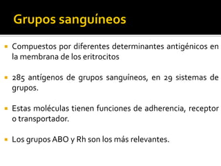 

Compuestos por diferentes determinantes antigénicos en
la membrana de los eritrocitos



285 antígenos de grupos sanguíneos, en 29 sistemas de
grupos.



Estas moléculas tienen funciones de adherencia, receptor
o transportador.



Los grupos ABO y Rh son los más relevantes.

 