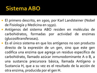 El primero descrito, en 1900, por Karl Landsteiner (Nobel
de Fisiología y Medicina en 1930).
 Antígenos del sistema ABO residen en moléculas de
carbohidratos, formadas por actividad de enzimas
(glucosiltransferasas).
 Es el único sistema en que los antígenos no son producto
directo de la expresión de un gen, sino que este gen
codifica una enzima que agrega un residuo específico de
carbohidrato, llamado azúcar inmunodominante A o B, a
una sustancia precursora básica, llamada Antígeno o
Sustancia H, que a su vez es el resultado de la acción de
otra enzima, producida por el gen H.


 