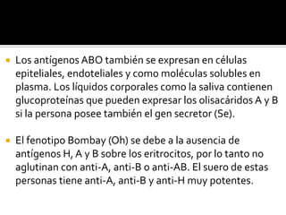 

Los antígenos ABO también se expresan en células
epiteliales, endoteliales y como moléculas solubles en
plasma. Los líquidos corporales como la saliva contienen
glucoproteínas que pueden expresar los olisacáridos A y B
si la persona posee también el gen secretor (Se).



El fenotipo Bombay (Oh) se debe a la ausencia de
antígenos H, A y B sobre los eritrocitos, por lo tanto no
aglutinan con anti-A, anti-B o anti-AB. El suero de estas
personas tiene anti-A, anti-B y anti-H muy potentes.

 