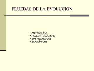 PRUEBAS DE LA EVOLUCIÓN




      • ANATÓMICAS
      • PALEONTOLÓGICAS
      • EMBRIOLÓGICAS
      • BIOQUÍMICAS
 