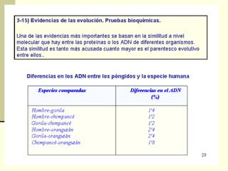 Pruebas de la evolución