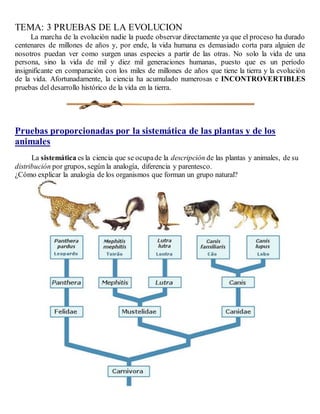 TEMA: 3 PRUEBAS DE LA EVOLUCION
La marcha de la evolución nadie la puede observar directamente ya que el proceso ha durado
centenares de millones de años y, por ende, la vida humana es demasiado corta para alguien de
nosotros puedan ver como surgen unas especies a partir de las otras. No solo la vida de una
persona, sino la vida de mil y diez mil generaciones humanas, puesto que es un período
insignificante en comparación con los miles de millones de años que tiene la tierra y la evolución
de la vida. Afortunadamente, la ciencia ha acumulado numerosas e INCONTROVERTIBLES
pruebas del desarrollo histórico de la vida en la tierra.
Pruebas proporcionadas por la sistemática de las plantas y de los
animales
La sistemática es la ciencia que se ocupade la descripción de las plantas y animales, de su
distribución por grupos, según la analogía, diferencia y parentesco.
¿Cómo explicar la analogía de los organismos que forman un grupo natural?
 