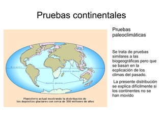 Pruebas continentales 
Pruebas 
paleoclimáticas 
Se trata de pruebas 
similares a las 
biogeográficas pero que 
se basan en la 
ecplicación de los 
climas del pasado. 
La presente distribución 
se explica difícilmente si 
los continentes no se 
han movido 
 