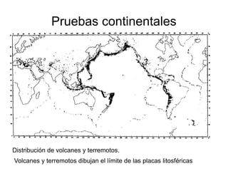 Pruebas continentales 
Distribución de volcanes y terremotos. 
Volcanes y terremotos dibujan el límite de las placas litosféricas 
 