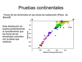 Pruebas continentales 
Focos de los terremotos en las zonas de subducción (Plano de 
Benioff) 
Esta distribución se 
explica perfectamente 
si consideramos que 
los focos de los 
terremotos coinciden 
con la placa que 
subduce 
 