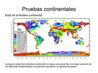 Pruebas continentales 
Edad de la litosfera continental 
Aunque la edad de la litosfera continental no sigue una pauta fija, el encaje sucesivo de 
los diferentes litoferoclastos nos permite reconstruir su génesis temporal 
 